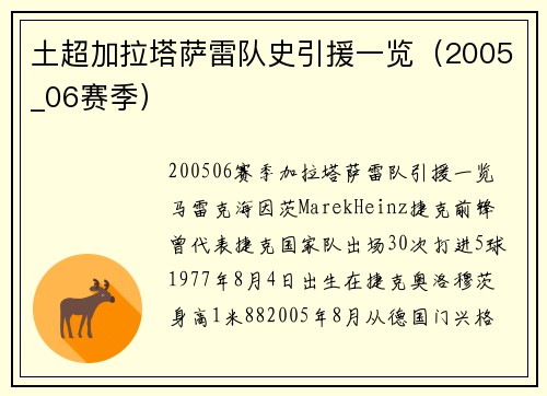 土超加拉塔萨雷队史引援一览（2005_06赛季）